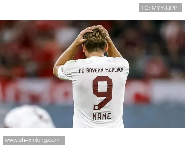 拜仁慕尼黑稳居德甲榜首，稳扎稳打向冠军发起冲击