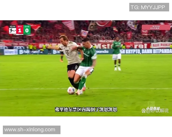 拜仁慕尼黑强势领跑，多特蒙德难以超越