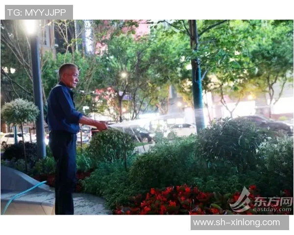 温布利草坪质量引发球员不满欧冠决赛场地问题亟待解决